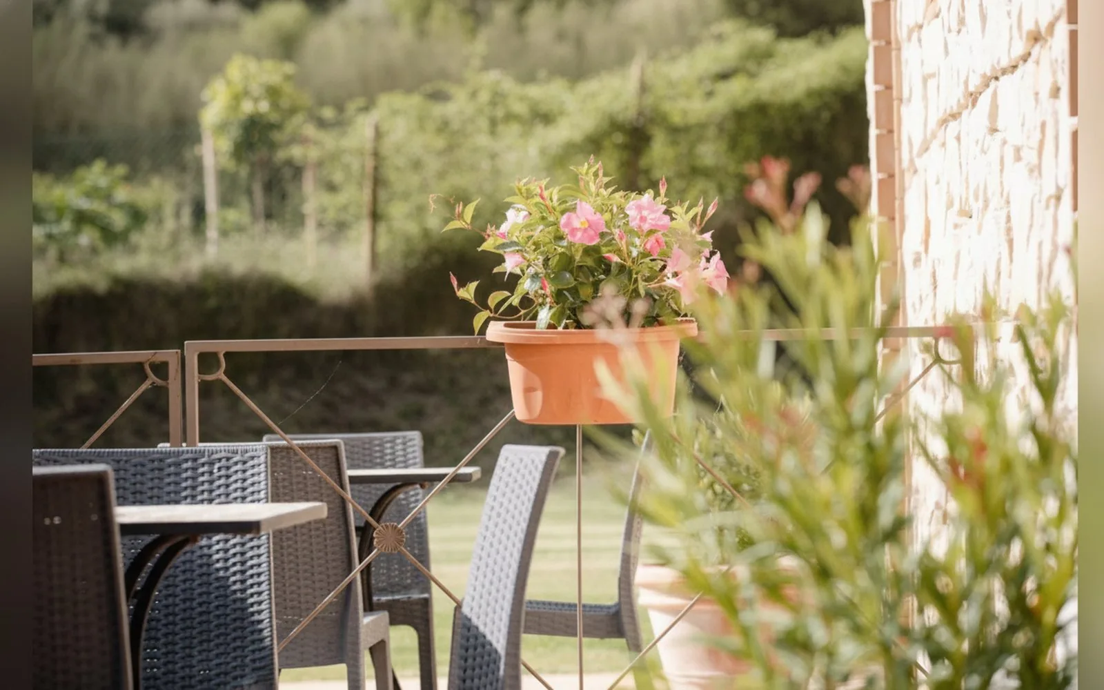 Tenuta i Tufari, 