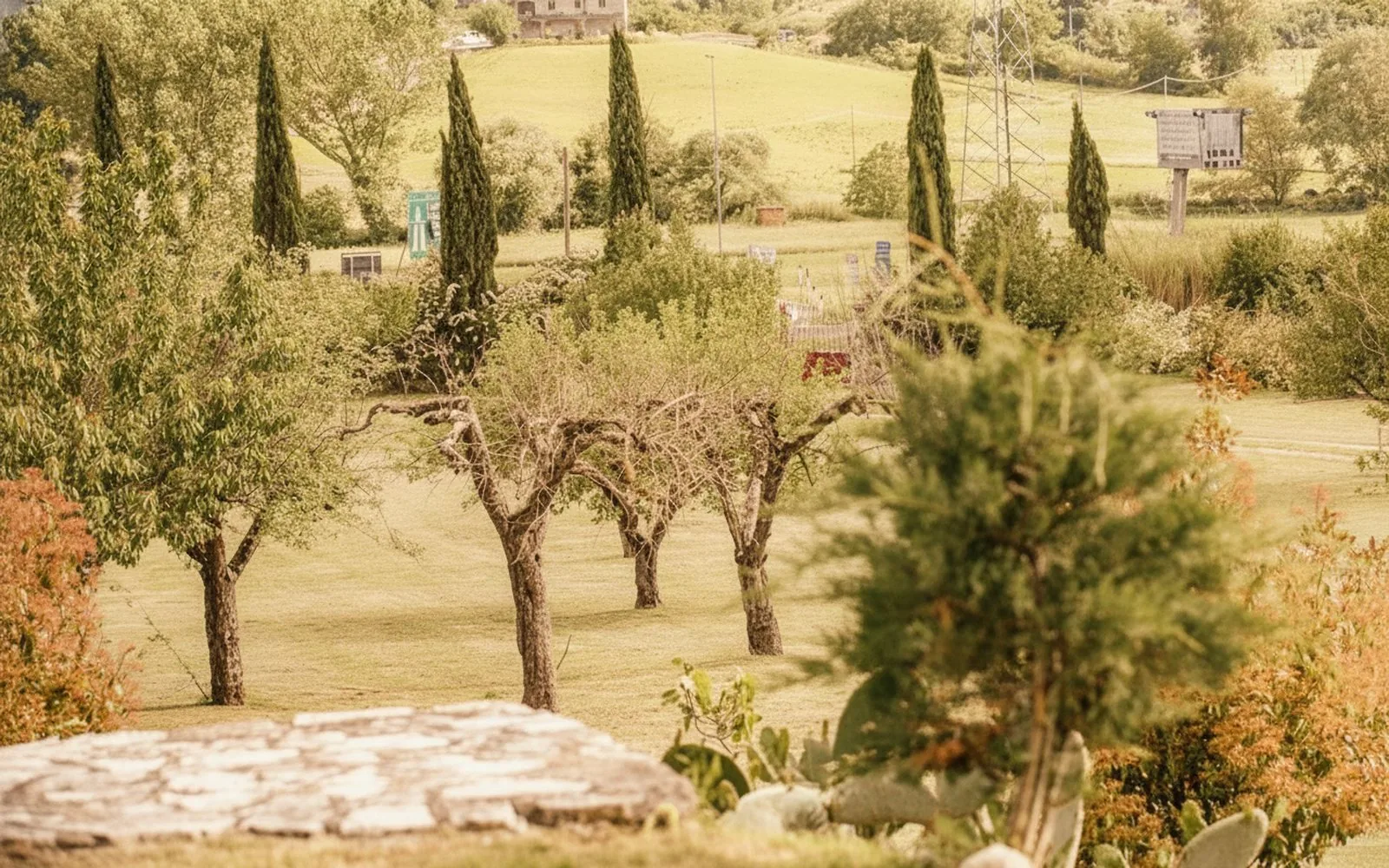 Tenuta i Tufari, 
